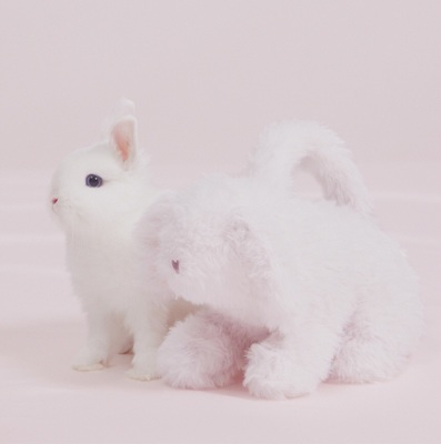 ☆【bunny】ポーチ☆