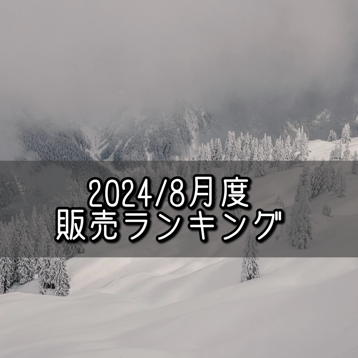 2024/8月度スノーボードアイテム販売ランキング