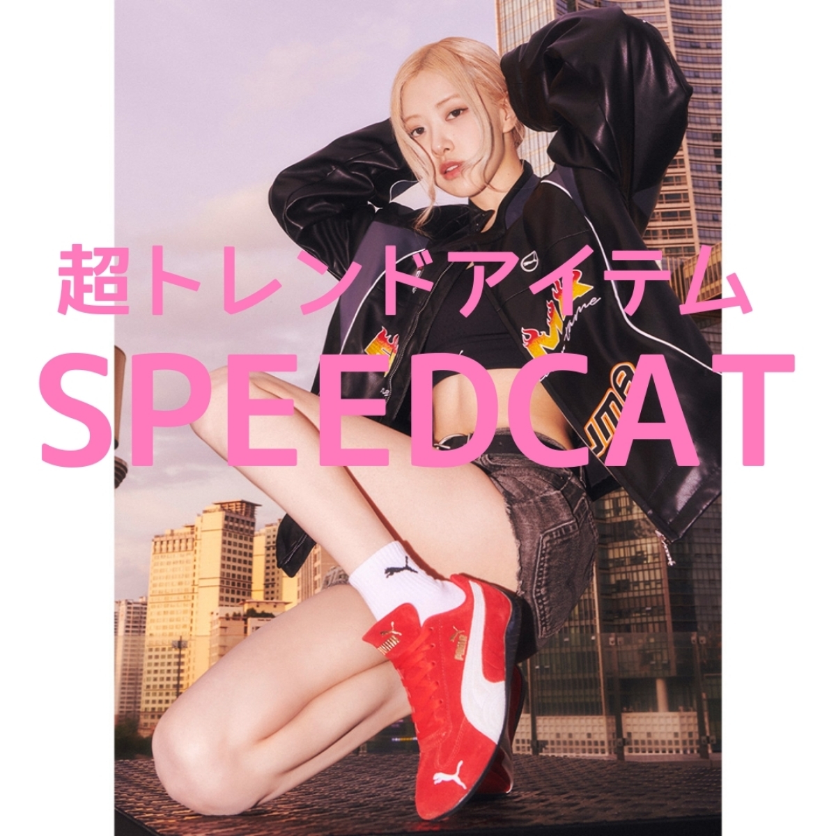 トレンド大本命！SPEEDCATシリーズ！