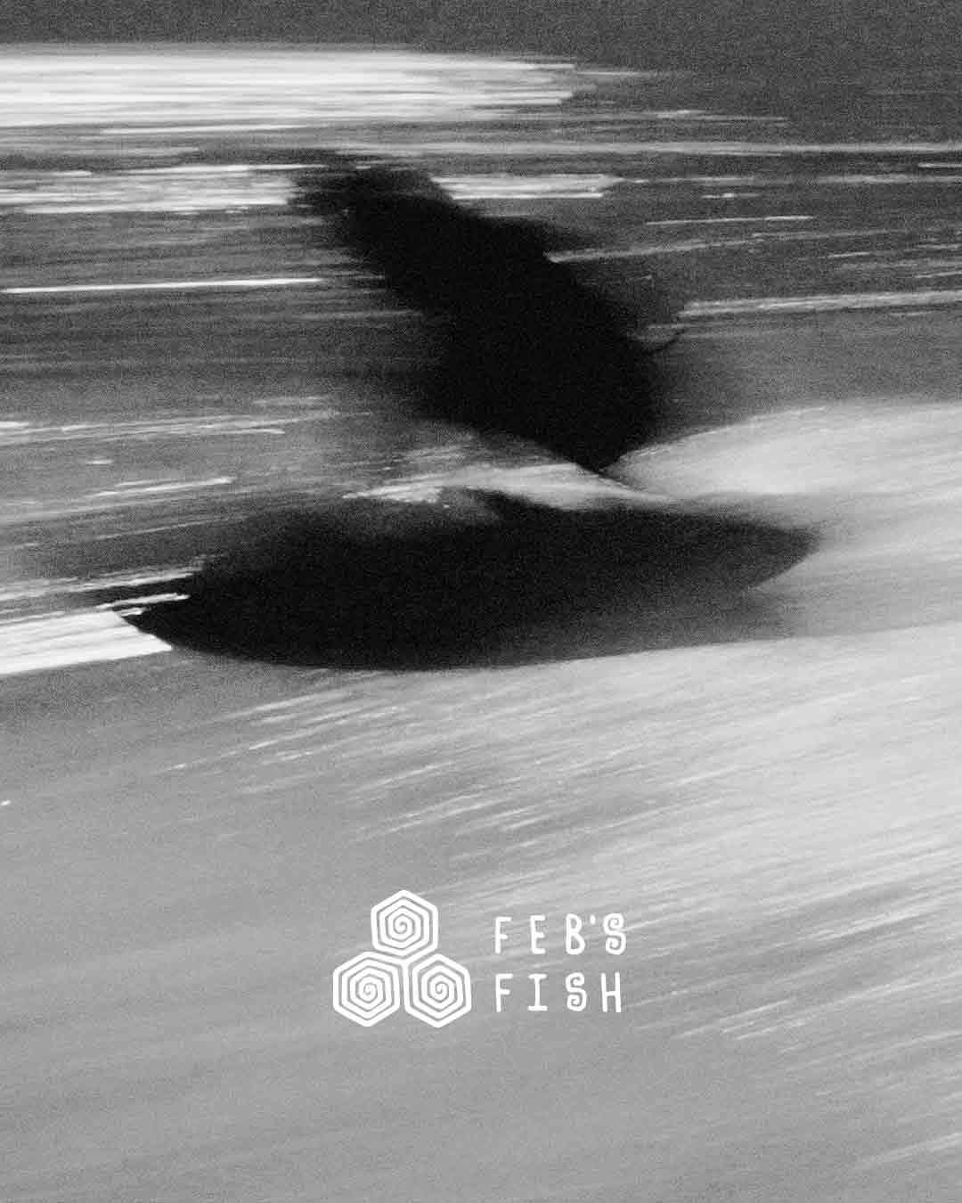 マイケル・フェブラリー 【FEBS FISH】